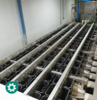 Linea de Proceso de Cerezas - PortalPacking.com